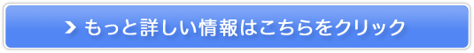 [^[Y/T[rX̔TCg